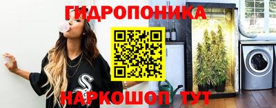 шишки Ирбит
